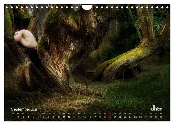 Produktbild: Lieblingsb&auml;ume - eins mit der Natur (Wandkalender 2026 DIN A4 quer), CALVENDO Monatskalender