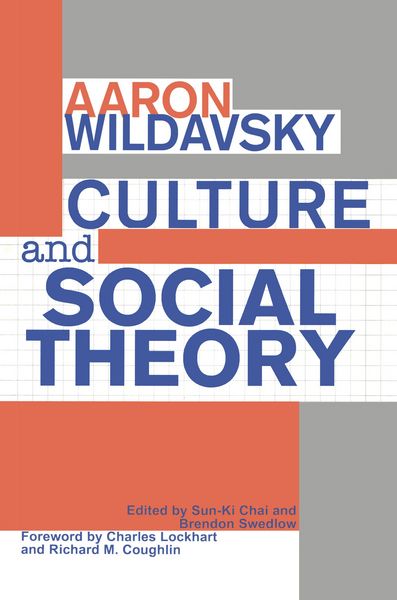 Produktbild: Culture and Social Theory