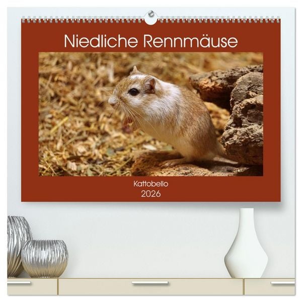 Produktbild: Niedliche Rennm&auml;use (hochwertiger Premium Wandkalender 2026 DIN A2 quer), Kunstdruck in Hochglanz