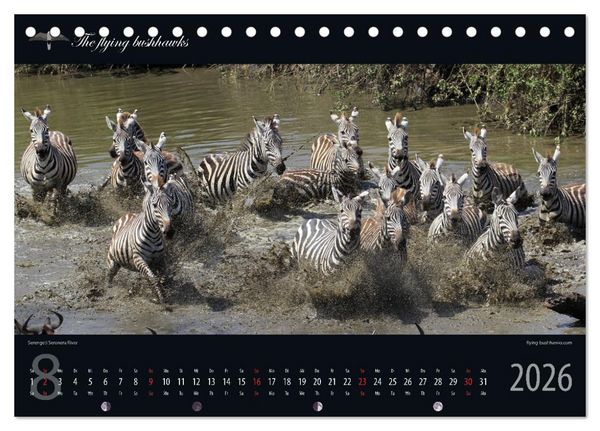 Produktbild: Tansania Blickwinkel 2026 (Tischkalender 2026 DIN A5 quer), CALVENDO Monatskalender