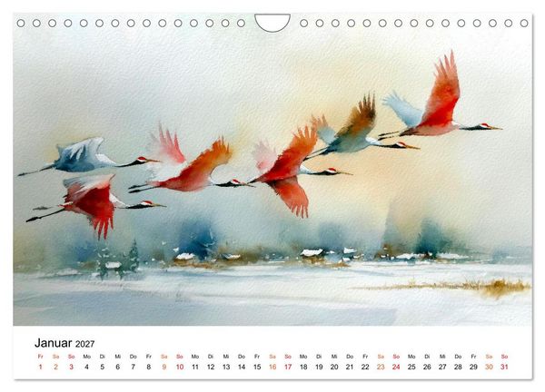 Produktbild: Kraniche zwischen Wind und Weite (Wandkalender 2027 DIN A4 quer), CALVENDO Monatskalender