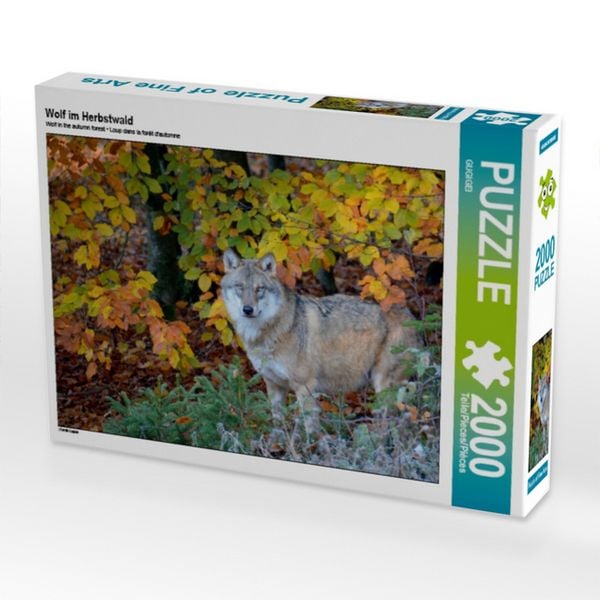 CALVENDO Puzzle Wolf im Herbstwald | 2000 Teile Lege-Größe 90x67cm Foto-Puzzle für glückliche Stunden