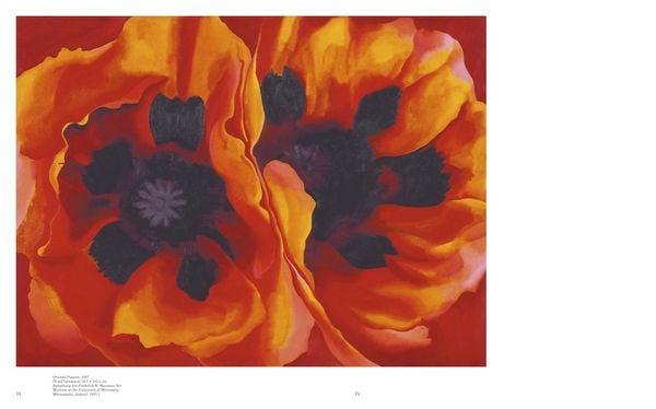 Produktbild: Georgia O'Keeffe