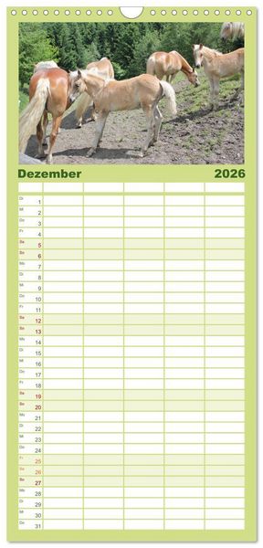 Produktbild: Familienplaner 2026 - Alpenpferde mit 5 Spalten (Wandkalender, 21 x 45 cm) CALVENDO