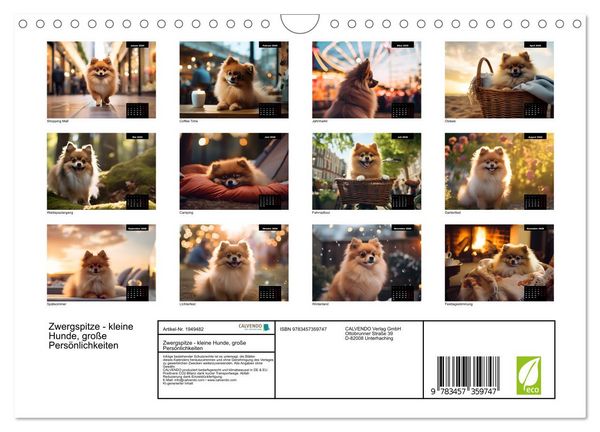 Produktbild: Zwergspitze - kleine Hunde, gro&szlig;e Pers&ouml;nlichkeiten (Wandkalender 2026 DIN A4 quer), CALVENDO Monatskalender