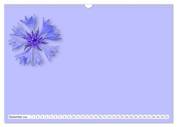 Produktbild: DIY POESIE - BASTELKALENDER (Wandkalender 2026 DIN A3 quer), CALVENDO Monatskalender
