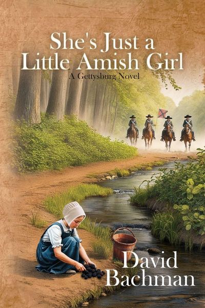 Produktbild: She's Just a Little Amish Girl