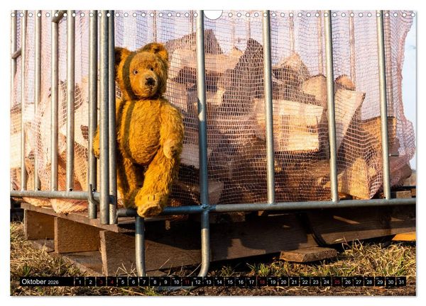 Produktbild: Neue Abenteuer von Teddy Basse (Wandkalender 2026 DIN A3 quer), CALVENDO Monatskalender