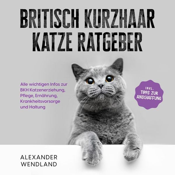 Britisch Kurzhaar Katze Ratgeber: Alle wichtigen Infos zur BKH Katzenerziehung, Pflege, Ernährung, Krankheitsvorsorge und Haltung - inkl. Tipps zur