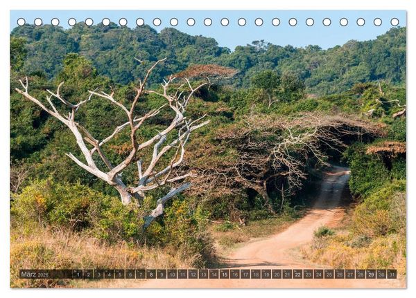 Produktbild: S&uuml;dafrika - Die Landschaft (Tischkalender 2026 DIN A5 quer), CALVENDO Monatskalender