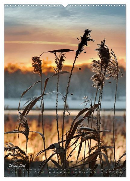 Produktbild: Moment Zauber (Wandkalender 2026 DIN A2 hoch), CALVENDO Monatskalender