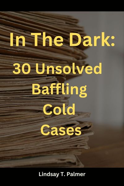 Produktbild: In The Dark: 30 Baffling Unsolved Cold Cases.