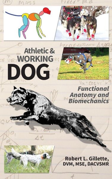 Produktbild: Athletic and Working Dog