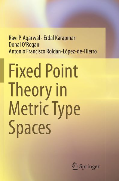 Produktbild: Fixed Point Theory in Metric Type Spaces
