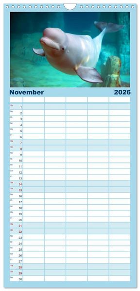 Produktbild: Familienplaner 2026 - Delfine und Wale mit 5 Spalten (Wandkalender, 21 x 45 cm) CALVENDO