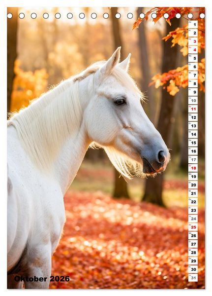 Produktbild: Pferdekalender - Wundersch&ouml;ne Pferde in Natur und Portraits (Tischkalender 2026 DIN A5 hoch), CALVENDO Monatskalender