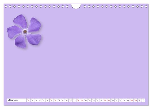 Produktbild: DIY POESIE - BASTELKALENDER (Wandkalender 2026 DIN A4 quer), CALVENDO Monatskalender