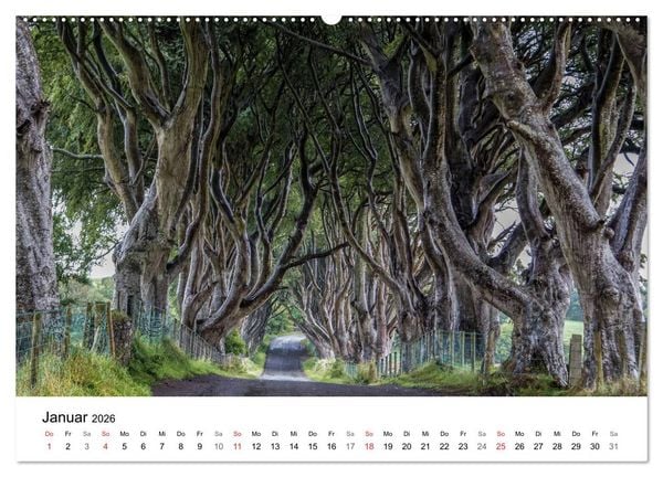 Produktbild: Irland wie gemalt (Wandkalender 2026 DIN A2 quer), CALVENDO Monatskalender