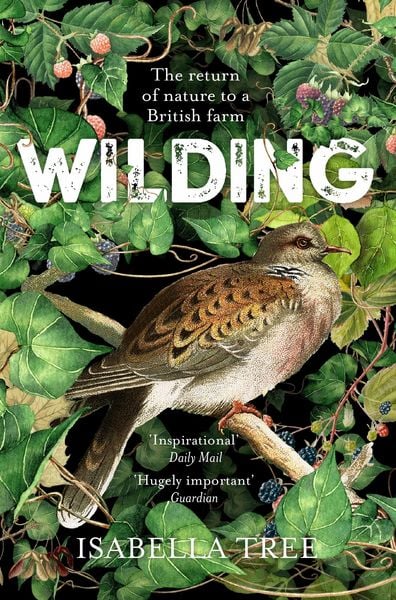 Produktbild: Wilding