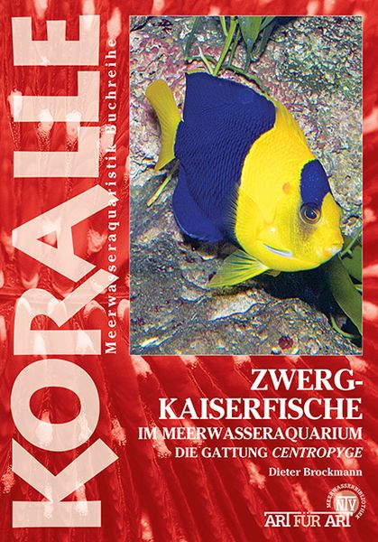 Produktbild: Zwergkaiserfische im Meerwasseraquarium