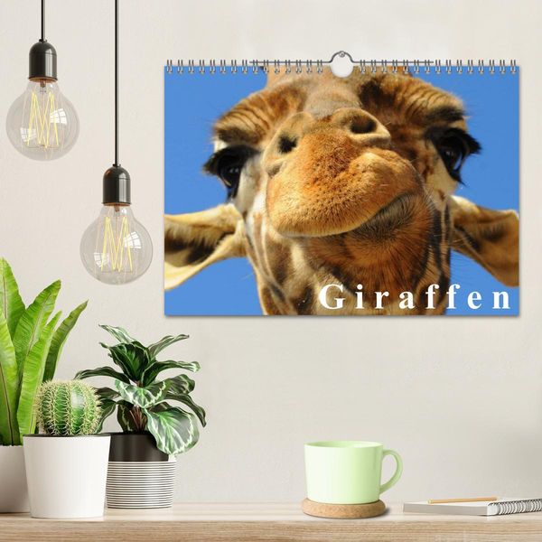 Produktbild: Giraffen / Geburtstagskalender (Wandkalender 2026 DIN A4 quer), CALVENDO Monatskalender