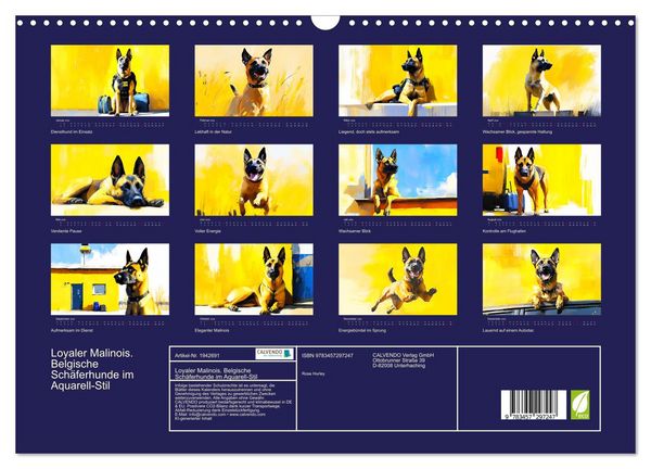 Produktbild: Loyaler Malinois. Belgische Sch&auml;ferhunde im Aquarell-Stil (Wandkalender 2026 DIN A3 quer), CALVENDO Monatskalender