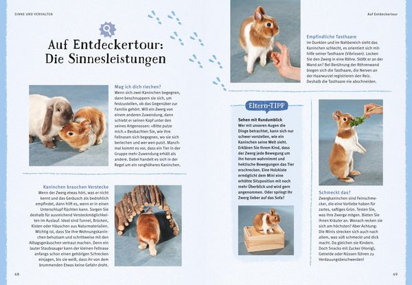 Produktbild: Liebenswerte Zwergkaninchen