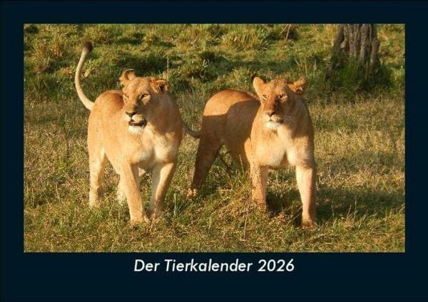 Produktbild: Der Tierkalender 2026 Fotokalender DIN A5