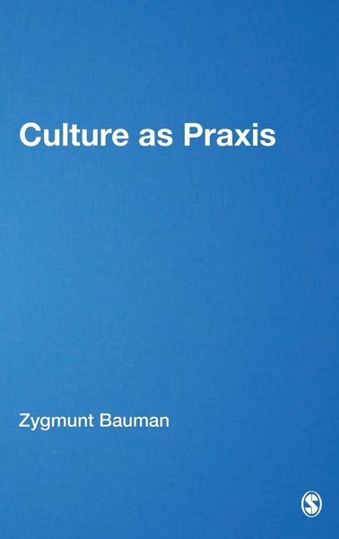 Produktbild: Culture as Praxis