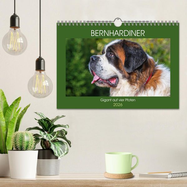 Produktbild: Bernhardiner - Gigant auf vier Pfoten (Wandkalender 2026 DIN A4 quer), CALVENDO Monatskalender
