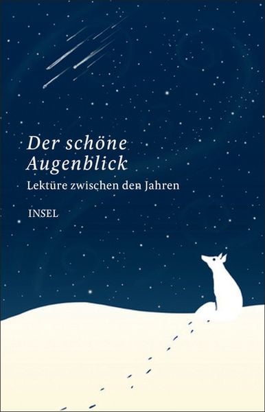 Produktbild: Lekt&uuml;re zwischen den Jahren