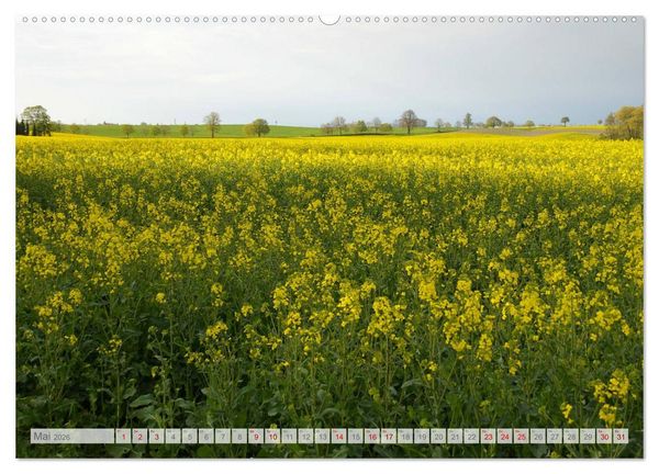 Produktbild: Natur-Paradies Mecklenburgische Schweiz (Wandkalender 2026 DIN A2 quer), CALVENDO Monatskalender