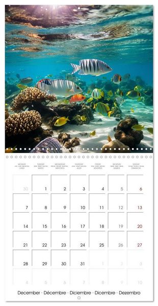 Produktbild: Beside tropical beaches (Wall Calendar 2026 12 &times; 12 Inch) CALVENDO 12 Month Wall Calendar