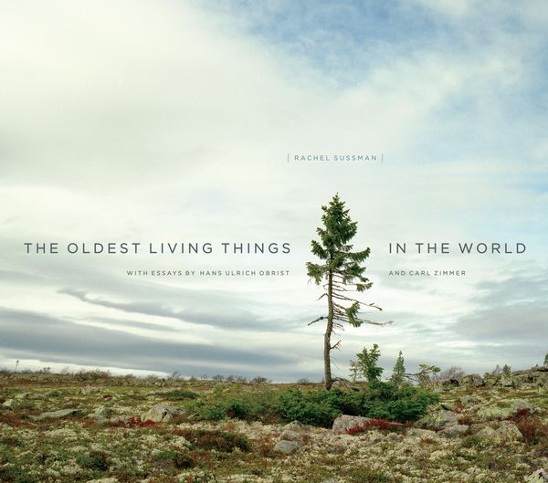 Produktbild: Oldest Living Things in the World