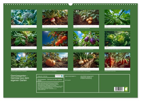 Produktbild: Gem&uuml;segarten - Gem&uuml;se aus dem eigenen Garten (Wandkalender 2026 DIN A2 quer), CALVENDO Monatskalender