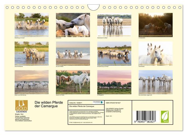 Produktbild: Die wilden Pferde der Camargue (Wandkalender 2026 DIN A4 quer), CALVENDO Monatskalender