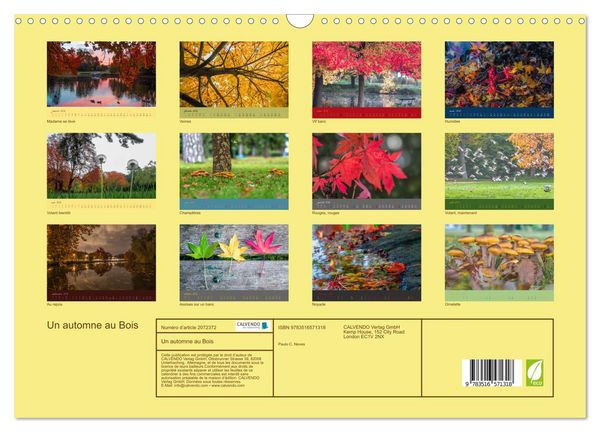 Produktbild: Un automne au Bois (Calendrier mural 2026 DIN A3 vertical), CALVENDO calendrier mensuel