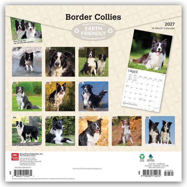 Produktbild: Border Collies 2027 &ndash; 16-Monatskalender