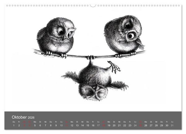 Produktbild: owls & friends 2026 (hochwertiger Premium Wandkalender 2026 DIN A2 quer), Kunstdruck in Hochglanz