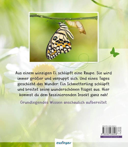 Produktbild: Meine gro&szlig;e Tierbibliothek: Der Schmetterling