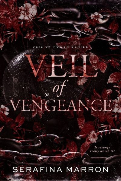 Produktbild: Veil of Vengeance