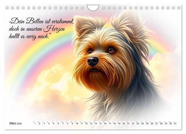 Produktbild: Hunde &uuml;ber der Regenbogenbr&uuml;cke (Wandkalender 2026 DIN A4 quer), CALVENDO Monatskalender