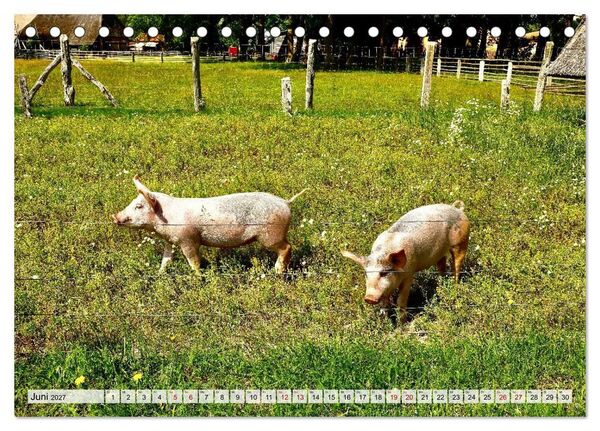 Produktbild: Fischland: zwischen Ostsee und Bodden (Tischkalender 2027 DIN A5 quer), CALVENDO Monatskalender