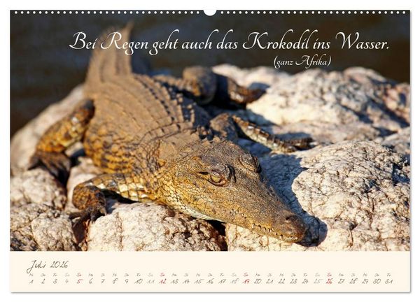 Produktbild: AFRIKA mit einem Hauch von Poesie (Wandkalender 2026 DIN A2 quer), CALVENDO Monatskalender
