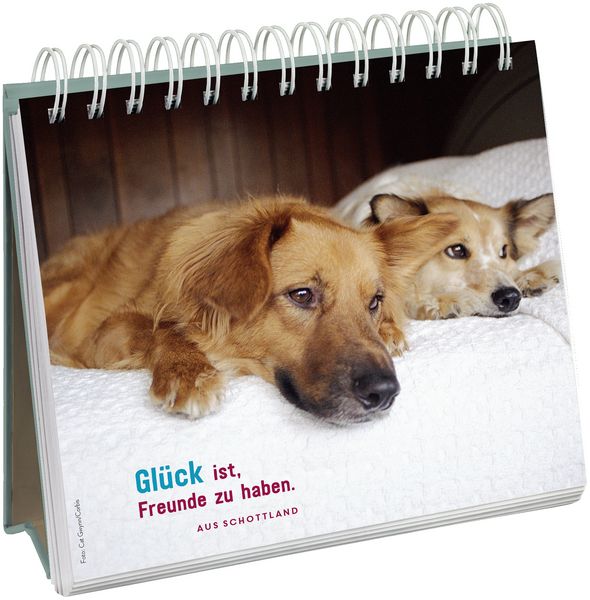 Produktbild: F&uuml;r Hundefreunde