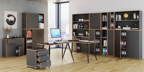 Produktbild: Holz B&uuml;ro Regal B&uuml;cher Ordner Aktenregal Salia 3f