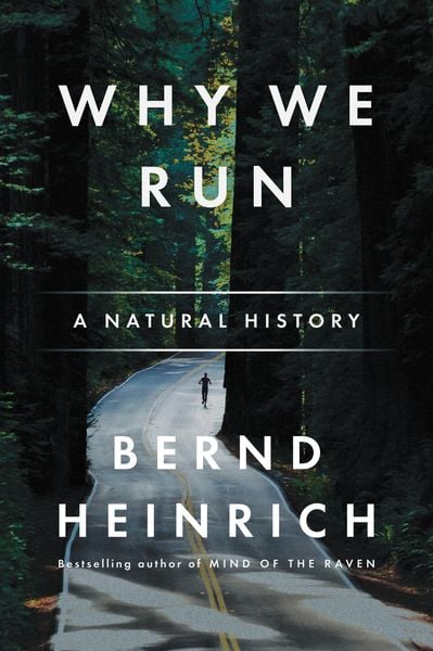 Produktbild: Why We Run