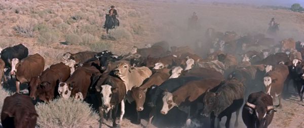 Produktbild: Die Rache des Texaners - Kinofassung (digital remastered)