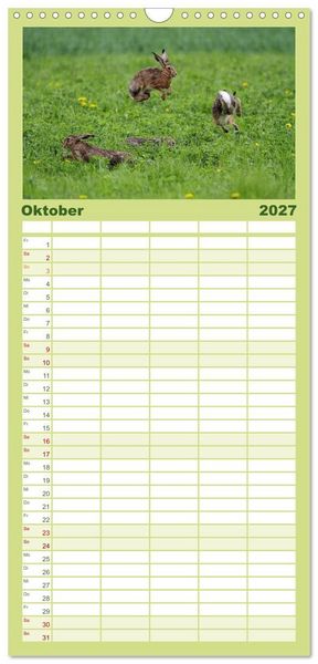 Produktbild: Familienplaner 2027 - Feldhasen in H&ouml;chstform mit 5 Spalten (Wandkalender, 21 x 45 cm) CALVENDO