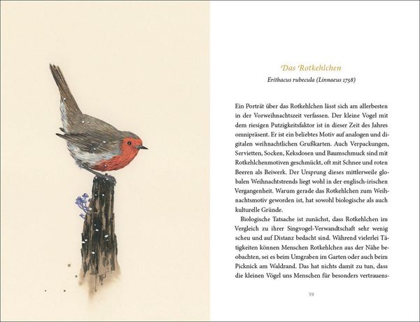 Produktbild: Vom Gl&uuml;ck des Vogelgesangs